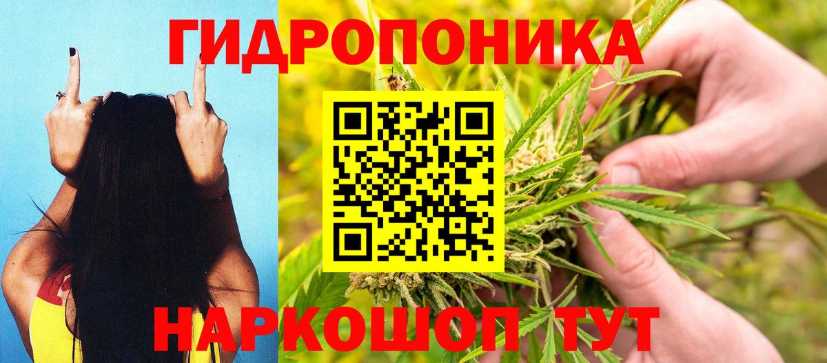 Канабис конопля Димитровград